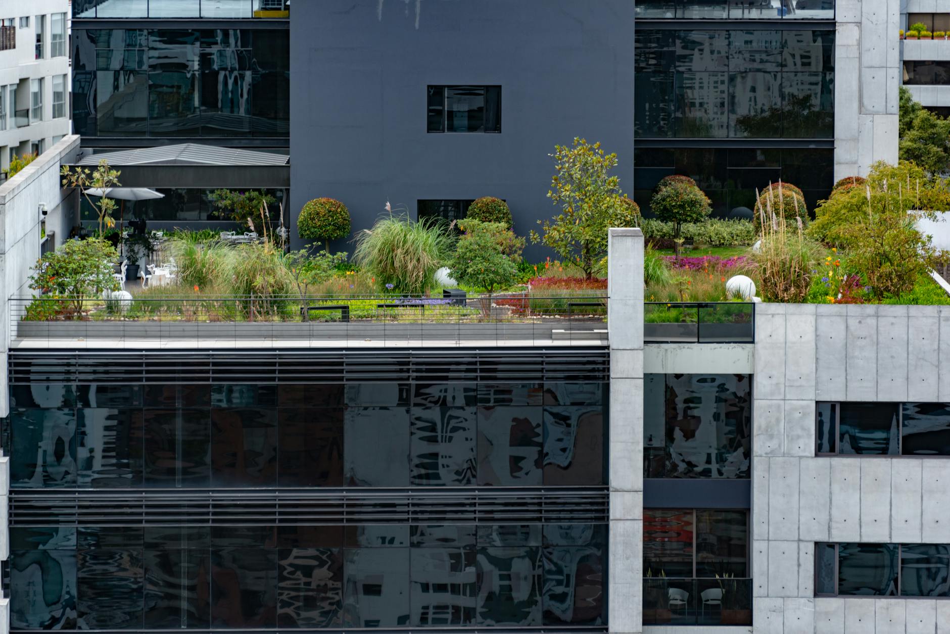 Zielony taras na dachu otoczony nowoczesnymi budynkami