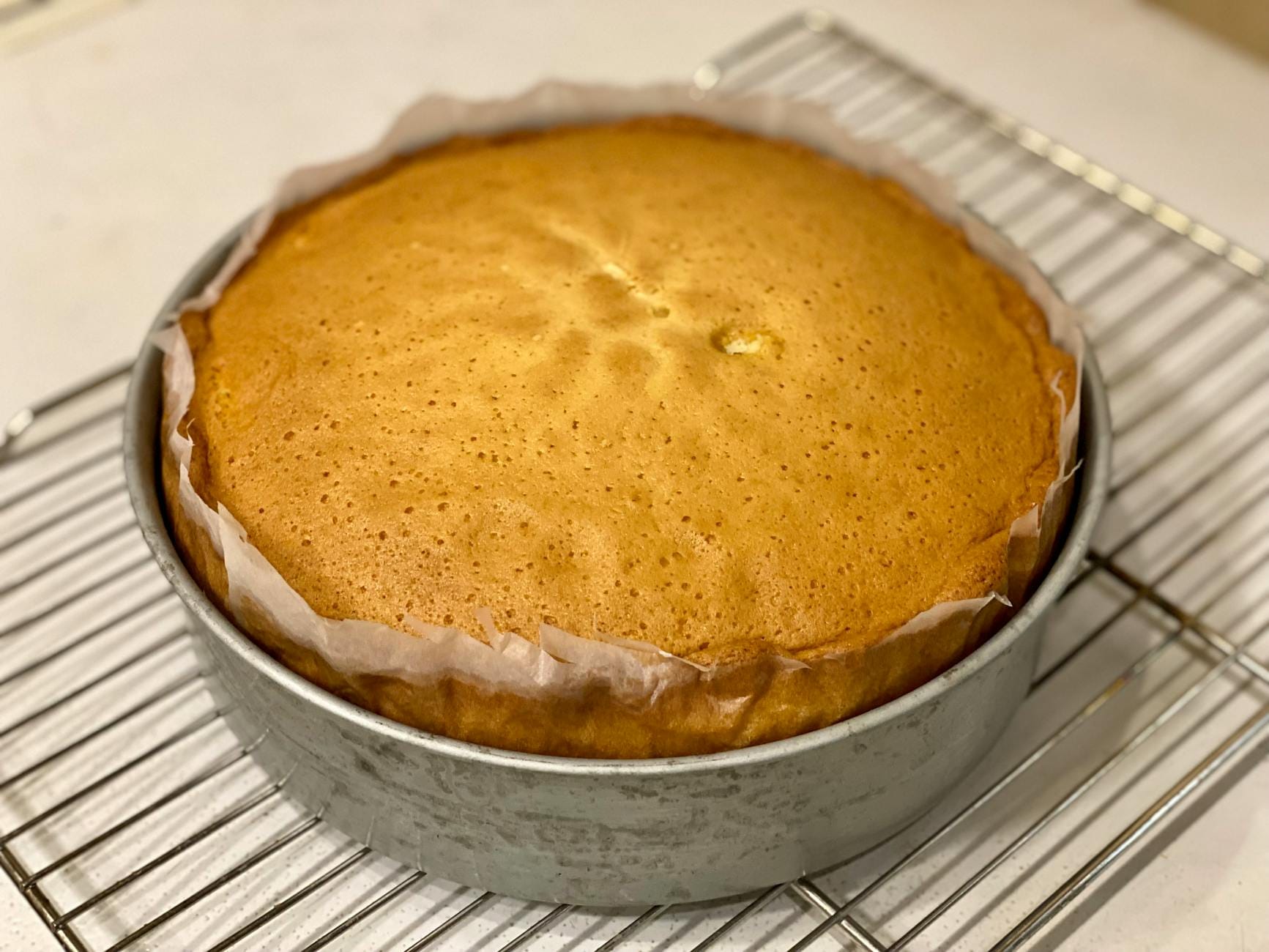 Świeżo upieczony domowy biszkopt studzący się na kratce kuchennej